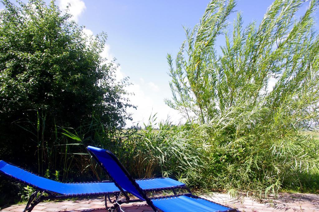 Wiesenblick Pellworm Kamer foto